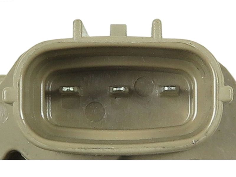 92273.JPG