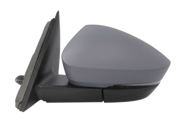 BLIC 5402-43-1925322P Exterior Mirror