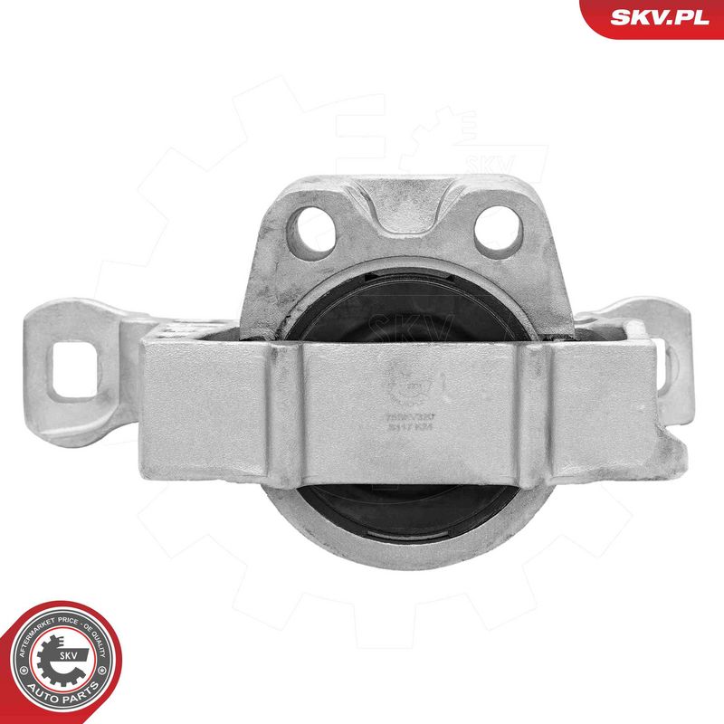 Paigutus, Mootor, ESEN SKV 75SKV320