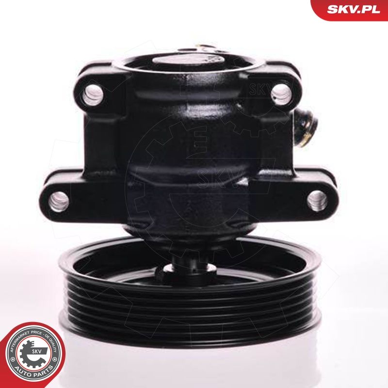 Hüdraulikapump, roolimine, ESEN SKV 10SKV150