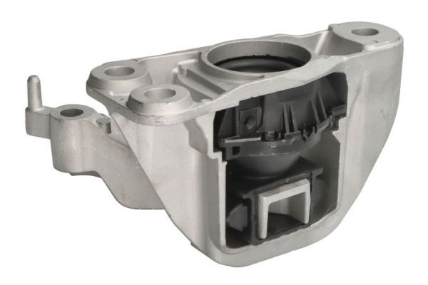 REINHOCH RH11-2196 Mounting, engine