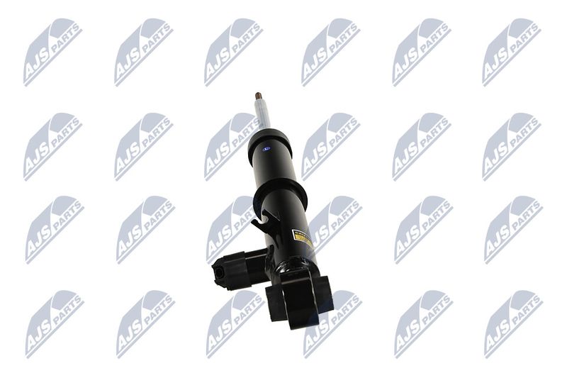 Amort, NTY A-LR-034