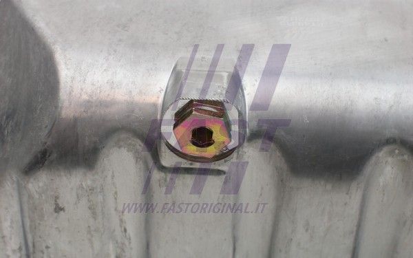 FT49313_3_1.JPG