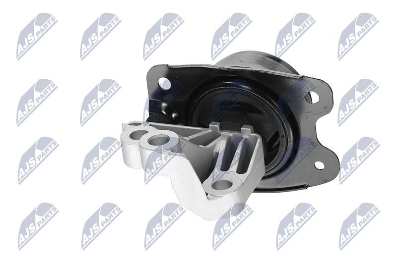 Paigutus, Mootor, NTY ZPS-CH-147