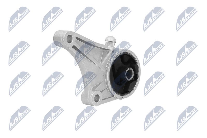 Paigutus, Mootor, NTY ZPS-PL-012