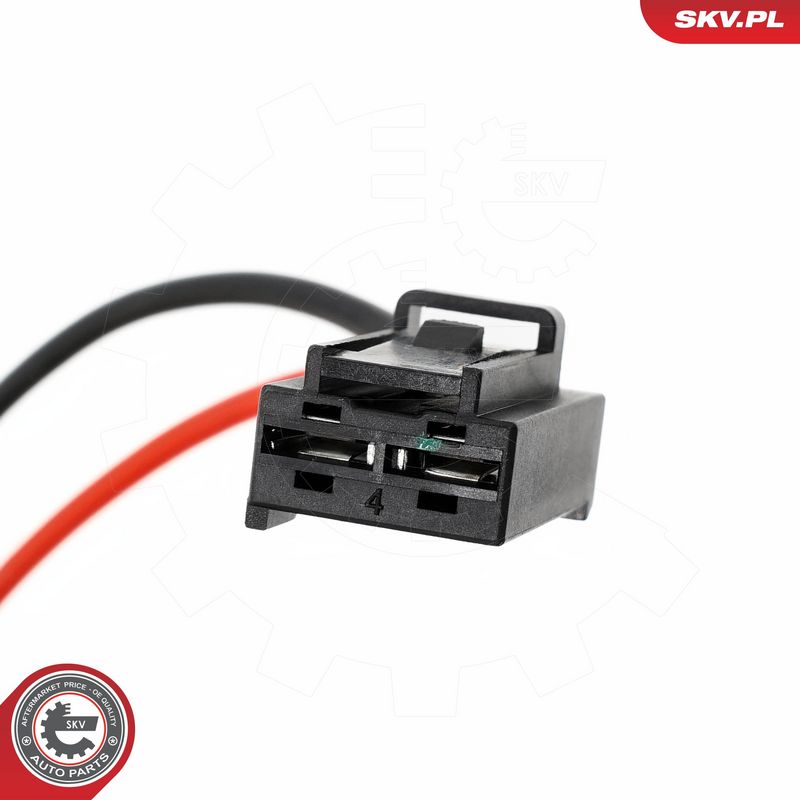 Salongipuhur, ESEN SKV...