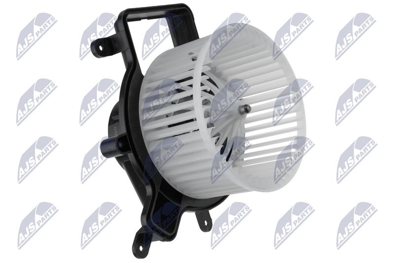 EWN-PE-003_1-WM.JPG