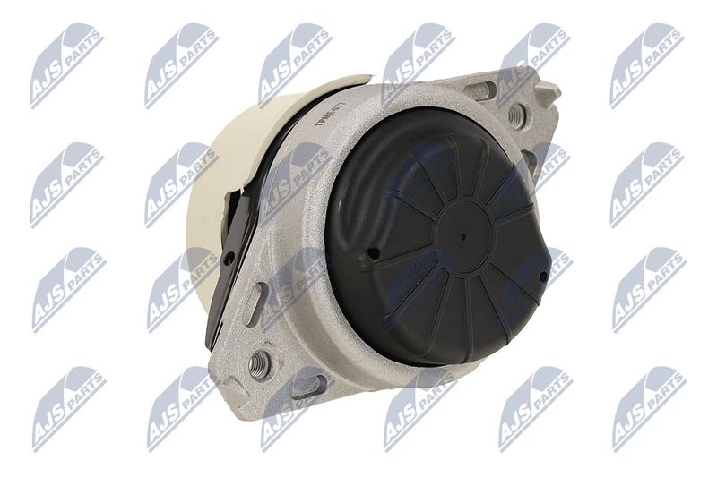 Paigutus, Mootor, NTY ZPS-ME-077