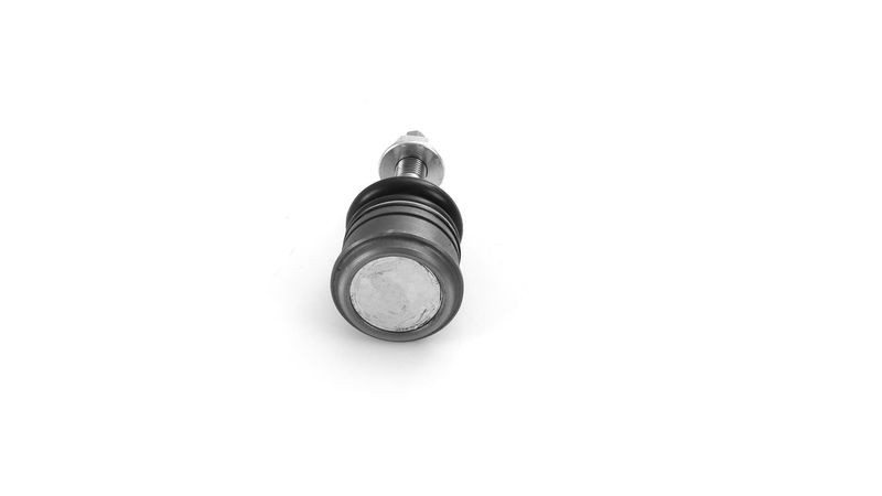 SKF VKDS312502 Šarnyras / girgždukas