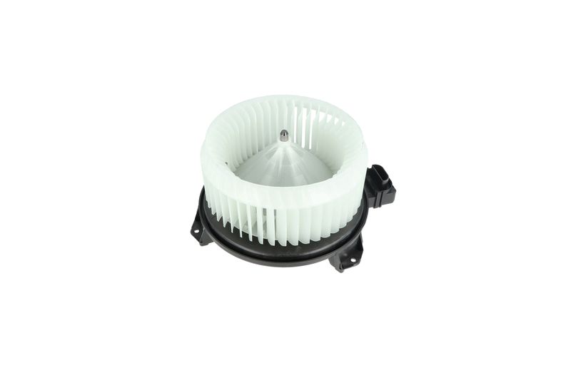 Salongipuhur, NRF 34244