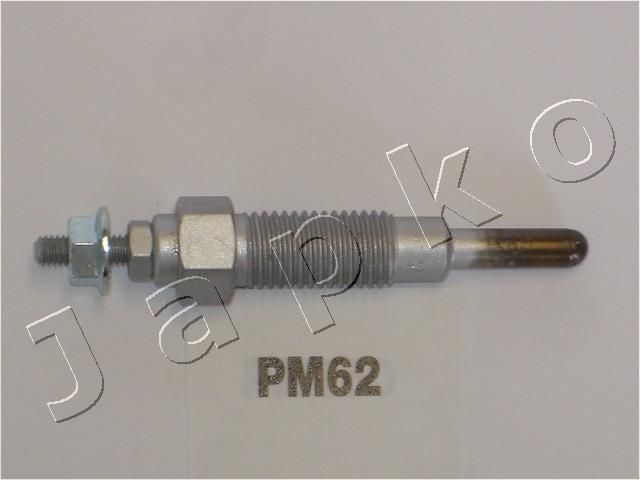 PM62_1.JPG