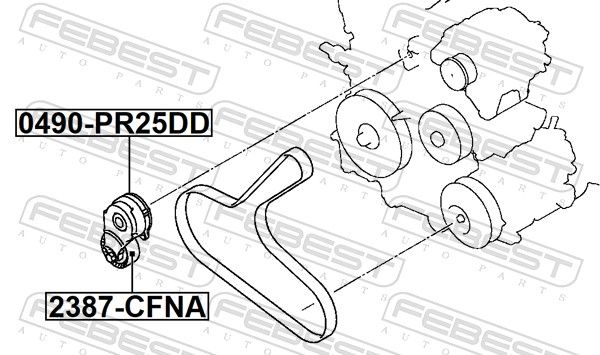 FEBEST 0490-PR25DD Belt Tensioner, V-ribbed belt
