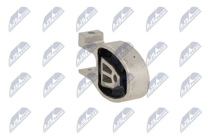 Paigutus, Mootor, NTY ZPS-FR-037