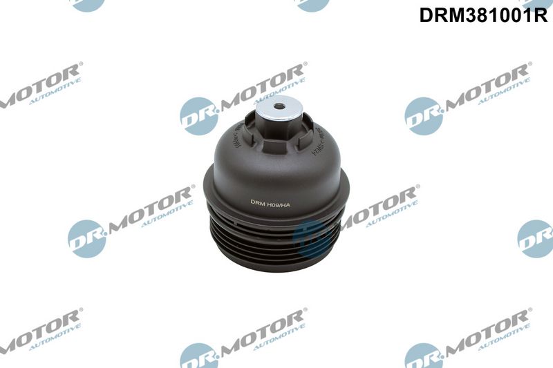 Prekė atitinka OEM kodą: 263152F000