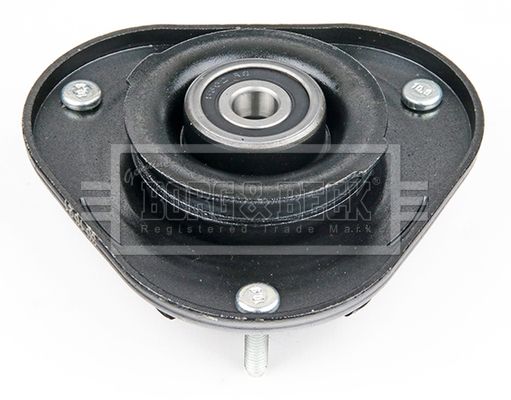 BSM5557_5093770.JPG