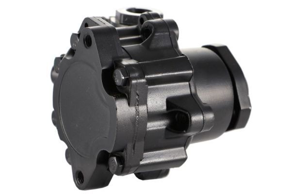 LAUBER 55.0499 Hydraulic Pump, steering