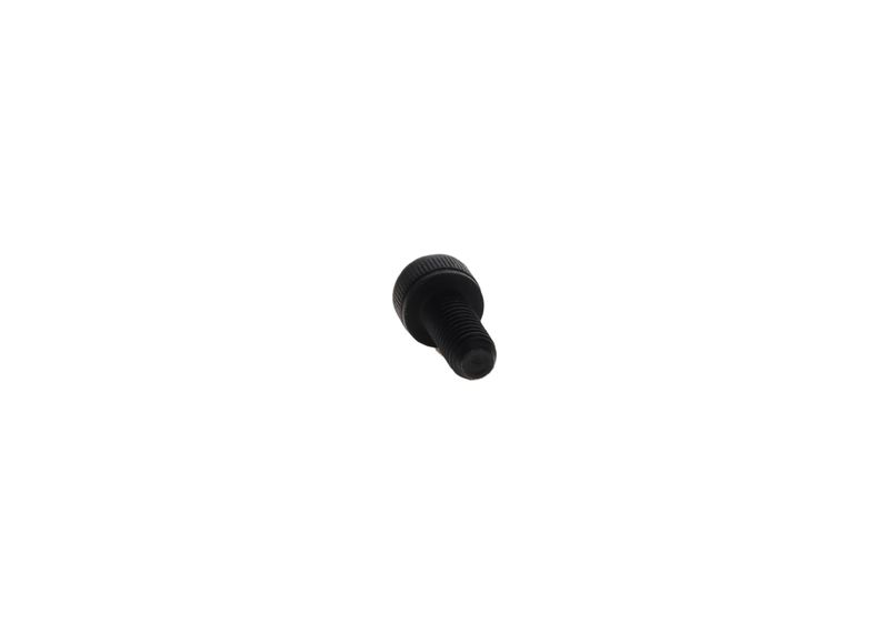 BOSCH F019D01609 Screw