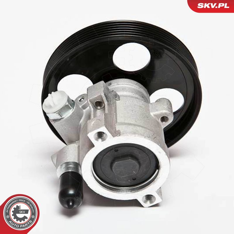 ESEN SKV 10SKV069 - Hydraulic Pump, steering