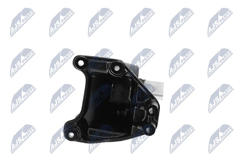 Paigutus, Mootor, NTY ZPS-CH-173