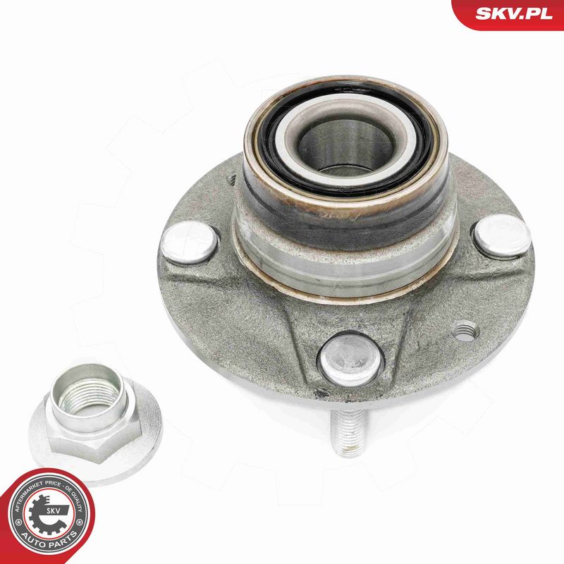 ESEN SKV 29SKV619 Wheel Bearing Kit