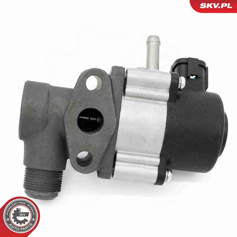 ESEN SKV 14SKV271 EGR vožtuvas