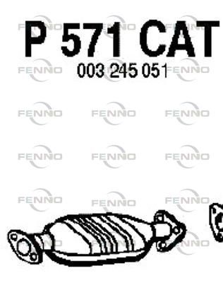 P571CAT.JPG