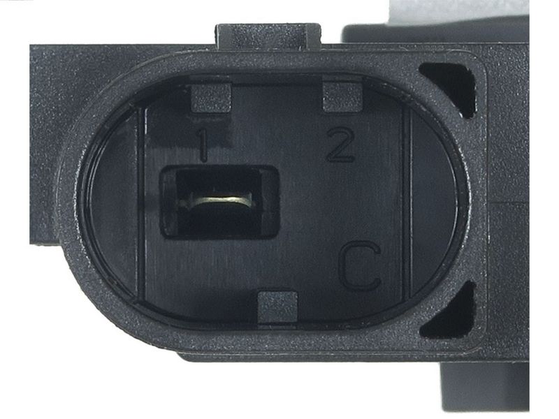 419172.JPG