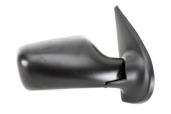 BLIC 5402-04-1115295P Exterior Mirror