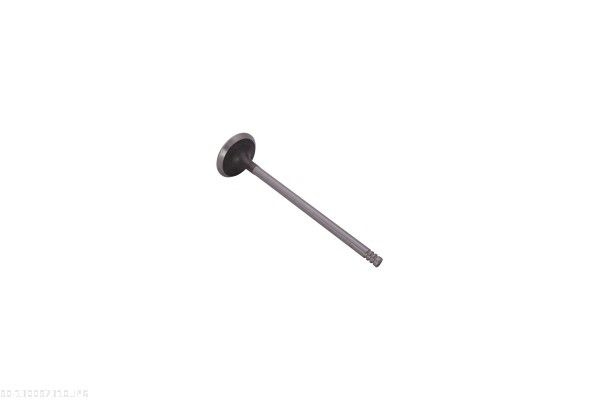 AUTOMEGA 130097310 Exhaust Valve