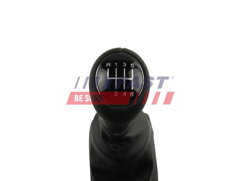 Käigukanginupp, FAST FT09043