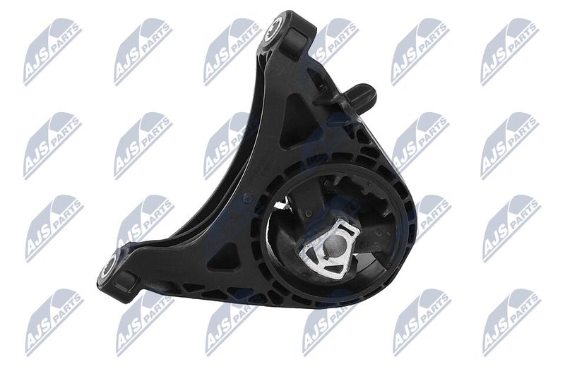 Paigutus, Mootor, NTY ZPS-PL-011