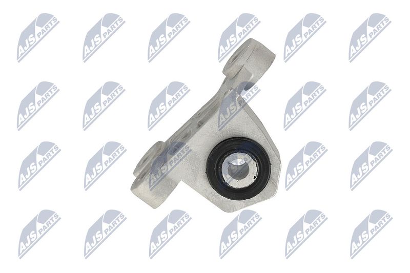 Paigutus, Mootor, NTY ZPS-CH-118