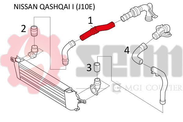981449_2.JPG