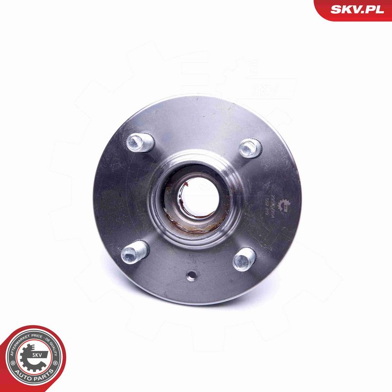 ESEN SKV 29SKV204 Wheel Bearing Kit