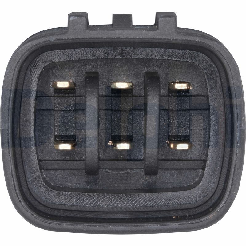DELPHI EG10738-12B1 EGR Valve
