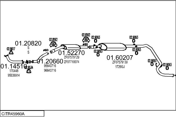 CITR45960A.JPG