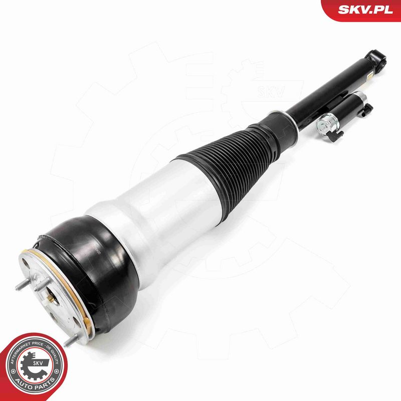 ESEN SKV 58SKV725 Air Suspension Strut
