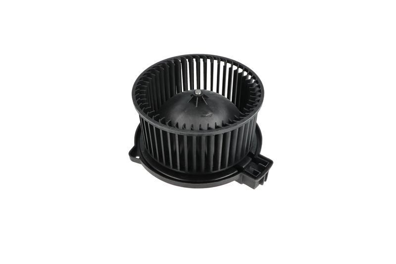 Salongipuhur, NRF 34331