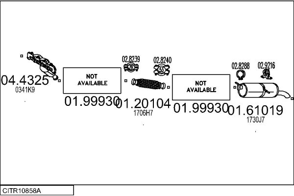 CITR10858A.JPG