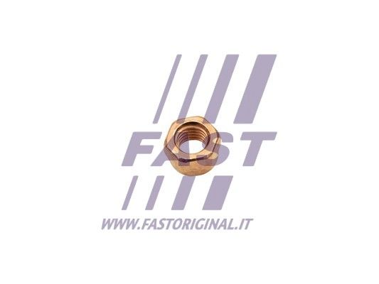 FT84702_1_1.JPG