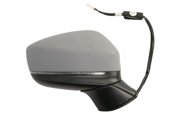 BLIC 5402-14-1906311P Exterior Mirror
