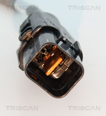 TRIS884543037_2.JPG