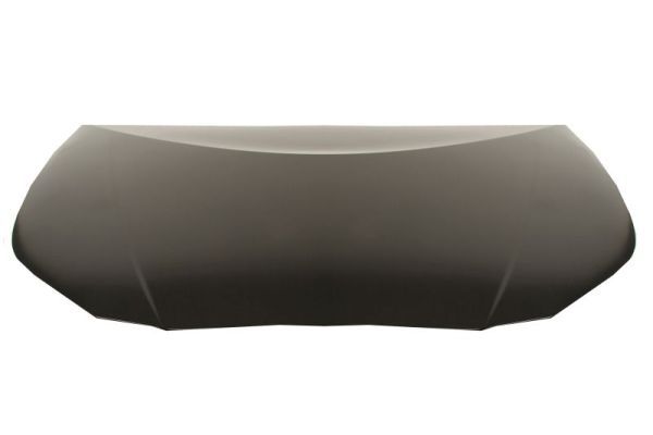Product Motora pārsegs BLIC 6803-00-8189280Q Image