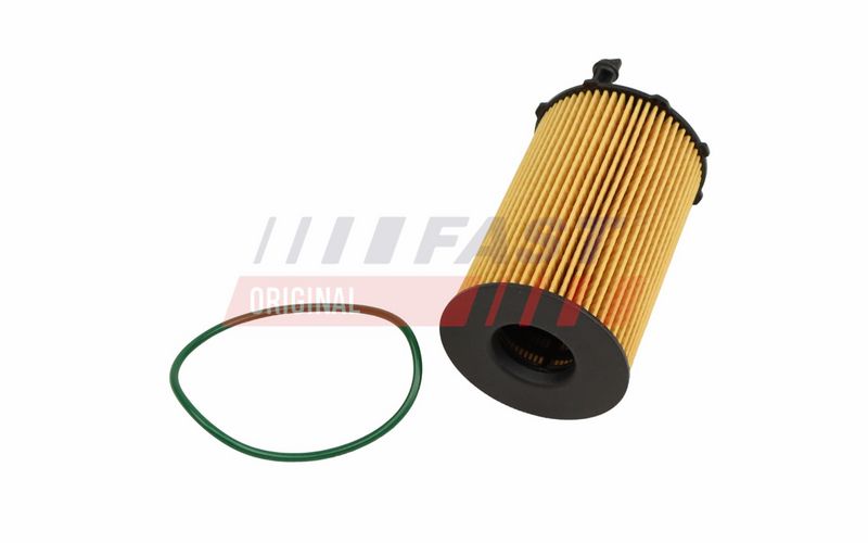 FAST FT01333 Alyvos filtras