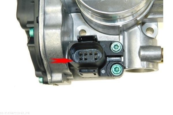 AUTOMEGA 210787110 Throttle Body