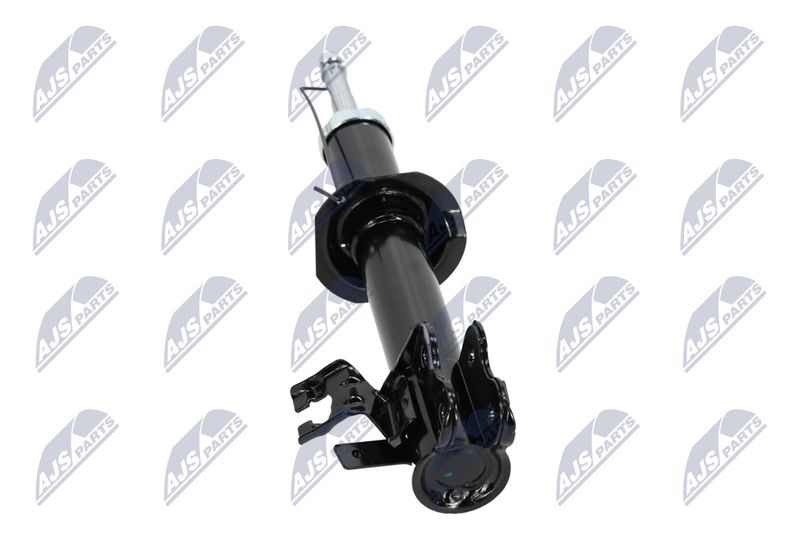 Amort, NTY A-NS-008