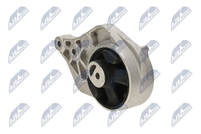 Paigutus, Mootor, NTY ZPS-CH-113