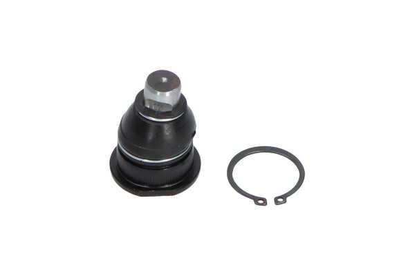 Kavo Parts SBJ-10011 Šarnyras