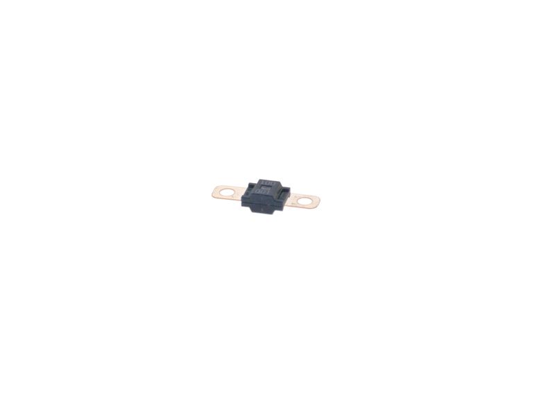 BOSCH 1987531011 Fuse