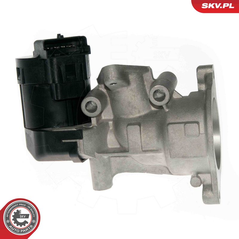 EGR-klapp, ESEN SKV 14SKV057